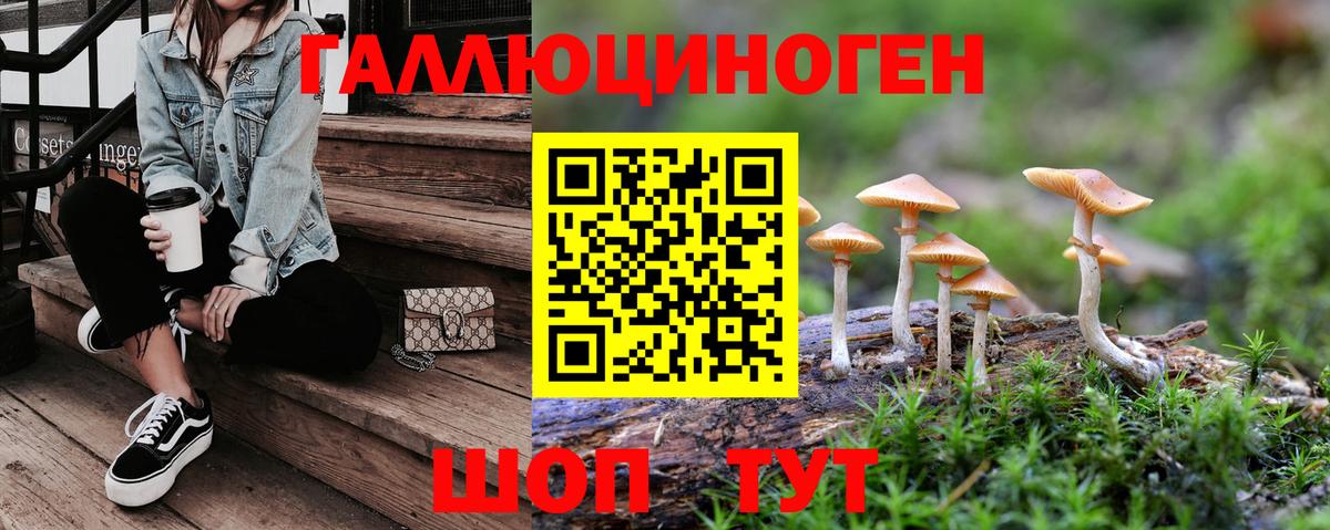 Волжск  Псилоцибиновые грибы прущие грибы  Вход с VPN 
